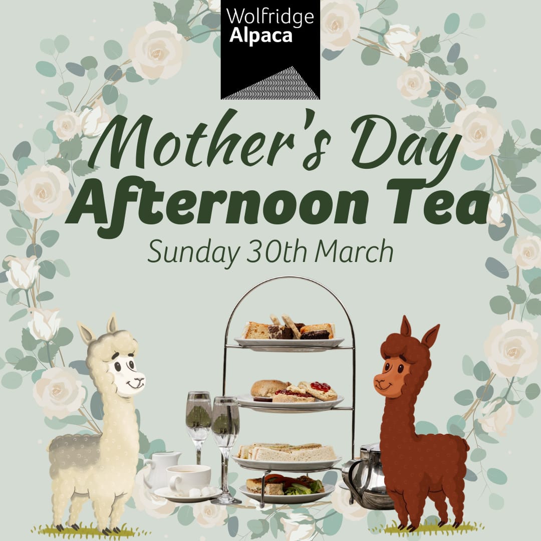 mothers day